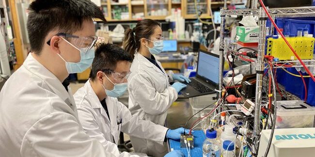 Left to right: Shijie Liu (MIE MASc candidate), Yi (Sheldon) Xu (MIE postdoctoral fellow) and Celine Xiao (MIE PhD candidate) work on an electrochemical cell in their lab. The students are members of Team E-quester, which has earned a $250,000 XPRIZE Carbon Removal Student Award. (Photo: Yong Zhao)